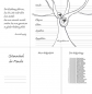 Preview: Stammbuch "LEBENSBAUM" aus grauem Leder mit silbernem Schriftzug, DIN A5